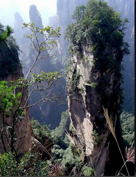 長沙出發到張家界溶洞奇觀黃龍洞、國家森林公園、袁家界、峰林之王天子山三日游（早班）